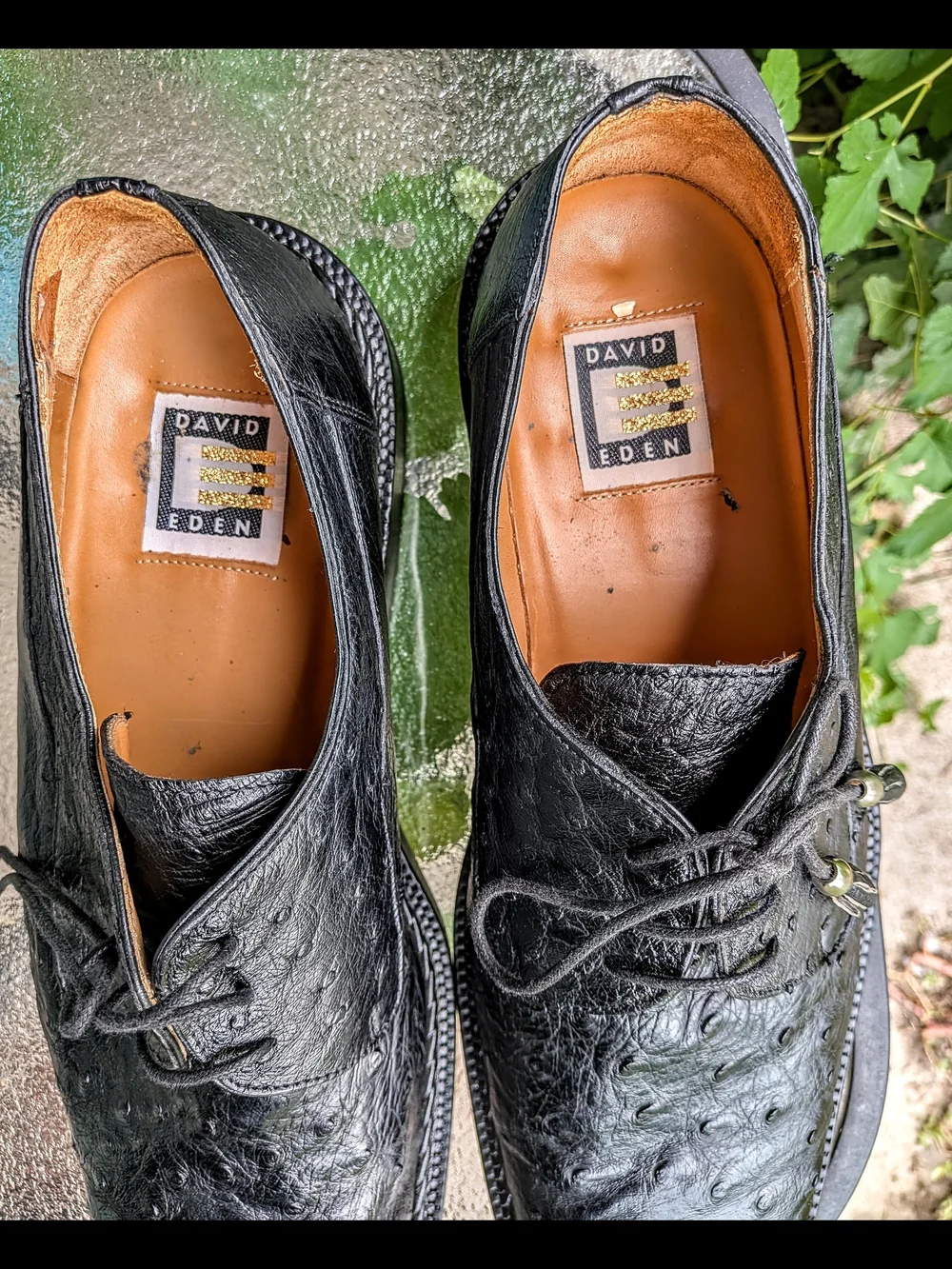 David Eden Men's Exotic 